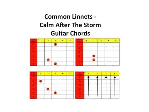 Guitar Lessons Common Linnets Calm After The Storm
