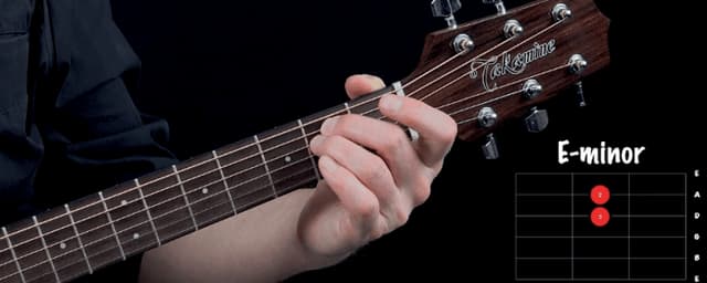 Nieuwe Engelstalige Gitaar Cursus in de maak!
