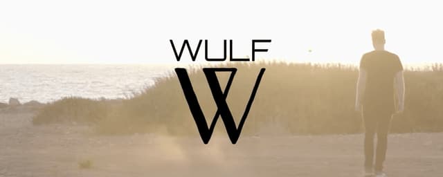 Gitaar akkoorden Wulf - All Things Under The Sun